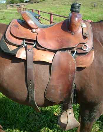 saddle