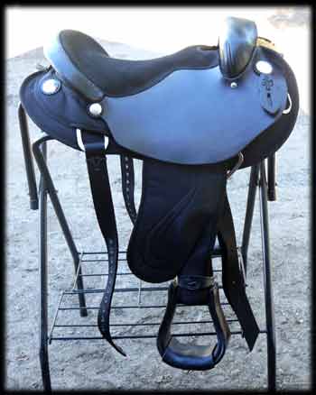 Aboiut The Horse endurance saddle