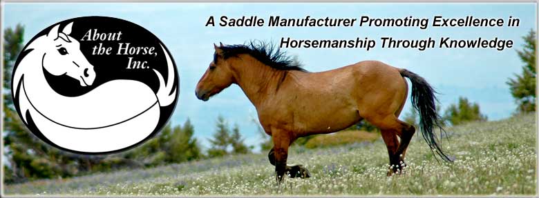 About The Horse Inc